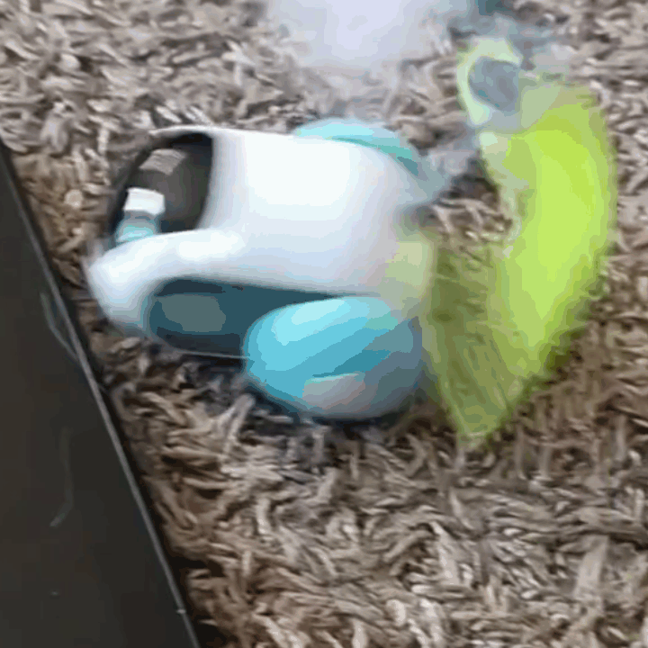 MouseChase Automatic Cat Toy