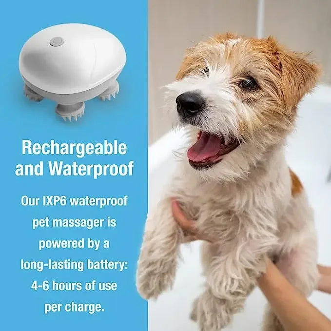 Purrfect Relief Electric Cat Massager - Wezoop