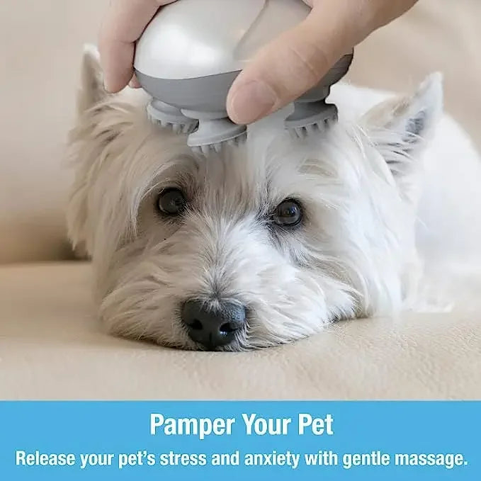 Purrfect Relief Electric Cat Massager - Wezoop